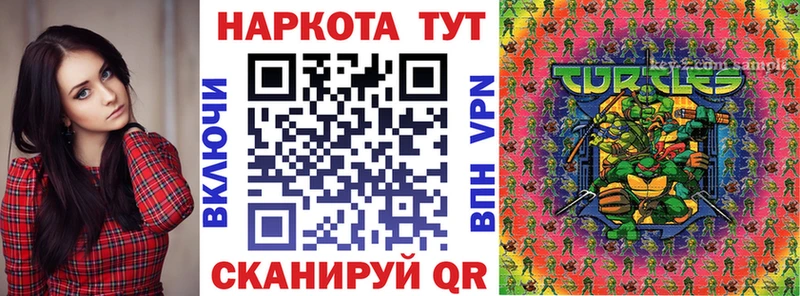 Какие есть наркотики Циолковский Бутират  Меф  ГАШИШ  Alpha-PVP 