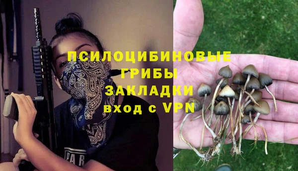ALPHA-PVP Строитель