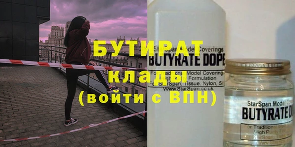 индика Никольск