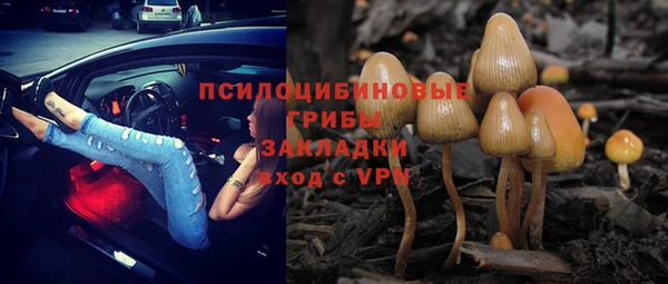 ALPHA-PVP Строитель